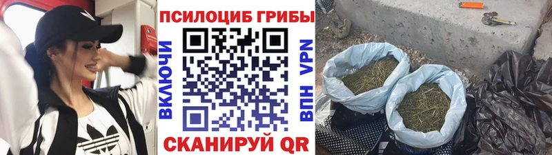 что такое наркотик  Усть-Джегута  Галлюциногенные грибы GOLDEN TEACHER 