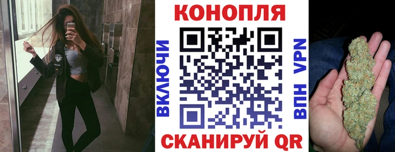 Каннабис план  Усть-Джегута 